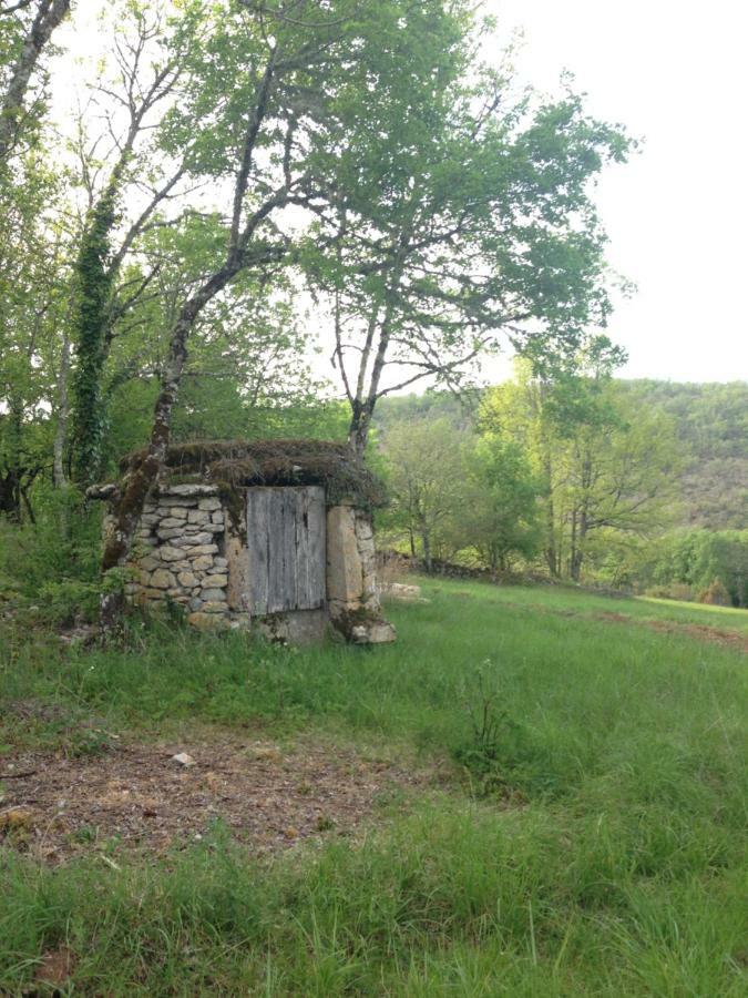 Pensjonat La Roulotte Clerelu - Du Domaine Des Ramonets Cahors Zewnętrze zdjęcie